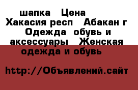 шапка › Цена ­ 150 - Хакасия респ., Абакан г. Одежда, обувь и аксессуары » Женская одежда и обувь   